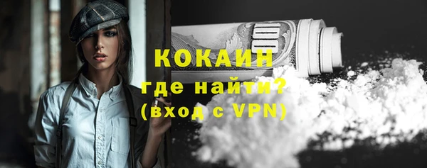 прущие крисы Бородино