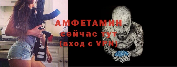 прущие крисы Бородино