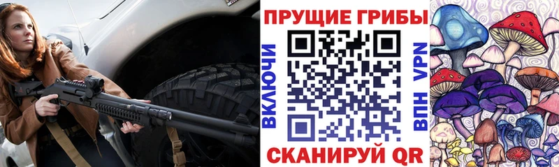 Псилоцибиновые грибы Psilocybe Купить где Мосальск